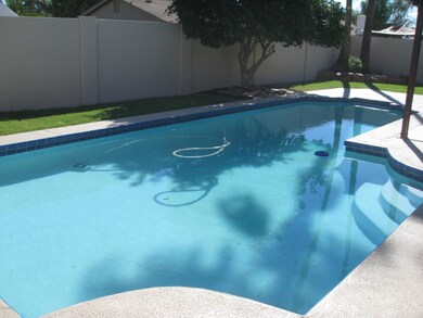 Sparkling Diving Pool