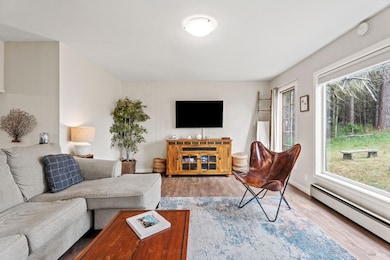 15741 Forest View Rd, Manchester, CA 95459 - photo 2