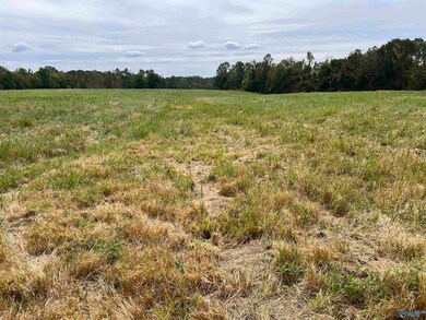 7 Holland Rd, Athens, AL 35614 - photo 4