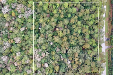 5040 Antioch Rd, Crestview, FL 32536 - photo 3