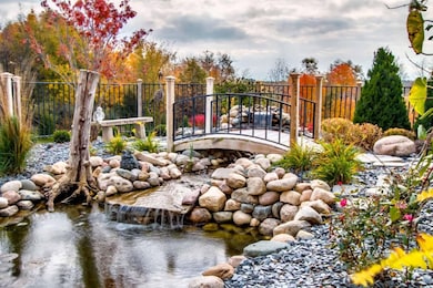 Pond_1