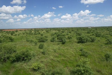 Tract 11 TBD Cr 483, Hawley, TX 79525 - photo 4