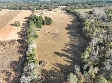 108 Peterson Ln, Blakely, GA 39823 - photo 2