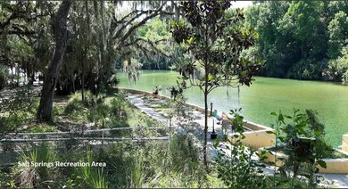 208 Garrison Ave, Georgetown, FL 32139 - photo 4