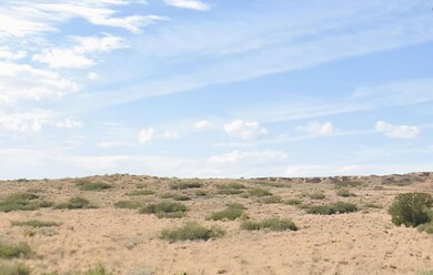 Rd unit Bosque, Socorro, NM 87006 - photo 2