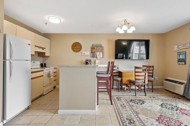 131 Lake St unit 214, Gilford, NH 03249 - photo 3