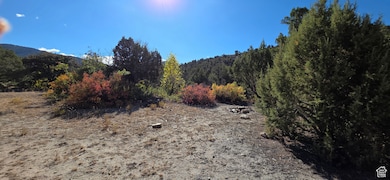 1 Willow Creek Rd, Salina, UT 84654 - photo 5