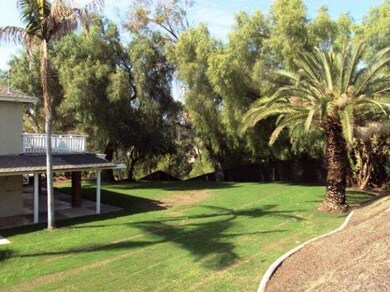 Enjoy your own amazingly huge park-like backyard! 