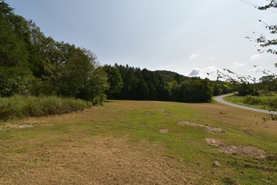 1076 Cedar Creek Rd, Linden, TN 37096 - photo 2