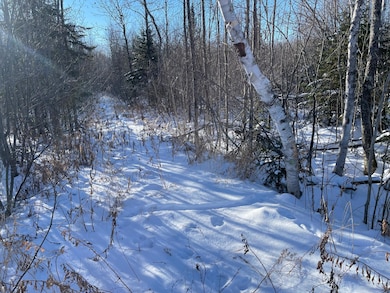 508 Cedar Valley Rd, Cedar Valley Township, MN 55736 - photo 6