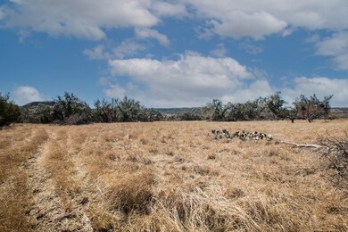 2 E Lower Crabapple Rd unit 2, Fredericksburg, TX 78624 - photo 3