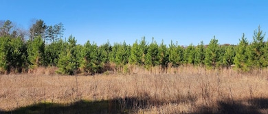 Partlow Rd, Beaverdam, VA 23015 - photo 3