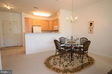 Lakeland Ridge Condominiums unit 309, Gaithersburg, MD 20878 - photo 7