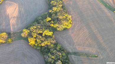 No Situs 80 Ac 612th Ave, Sterling, NE 68443 - photo 7