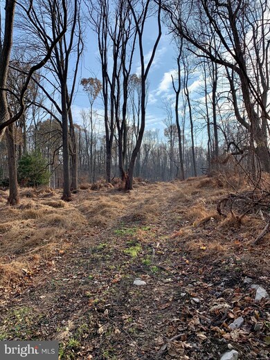 1738 Mount Laurel Rd, Temple, PA 19560 - photo 2