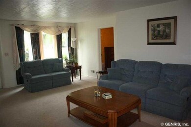 Living Room 19 5