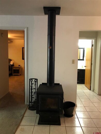 551 Animas View Dr unit 9, Durango, CO 81301 - photo 5