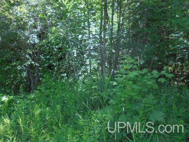 TBD E Shore Rd, Bergland, MI 49910 - photo 2