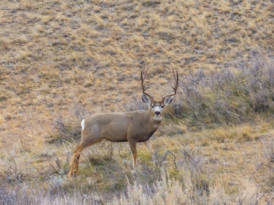 0 Tbd Iron Mountain Rd, Chugwater, WY 82210 - photo 2