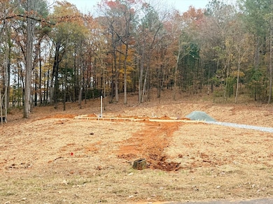 114 Rolling Meadows Way, Waverly Hall, GA 31831 - photo 3