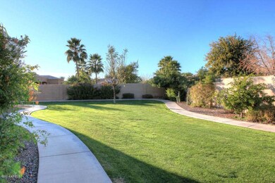 Backyard3