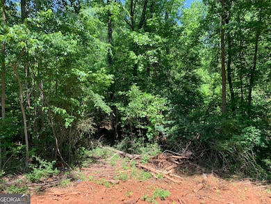 1030 Chambers Ct, Watkinsville, GA 30677 - photo 4