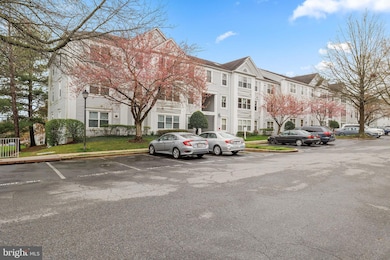 2609 Camelback Ln unit 6, Silver Spring, MD 20906 - photo 3