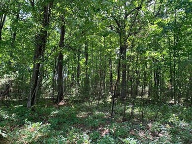 2.6 Ac State Highway 180, Porterfield, WI 54159 - photo 3