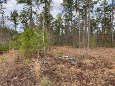 1915 Cr 620, Nacogdoches, TX 75964 - photo 7