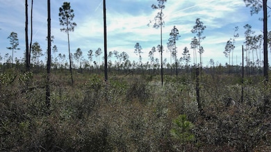 Lot 49 Circle Block Loop, Perry, FL 32348 - photo 7