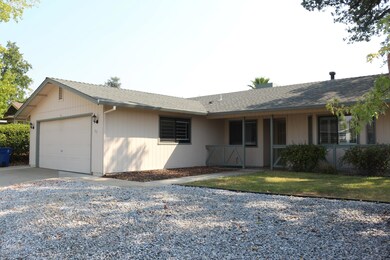 Level Front Yard