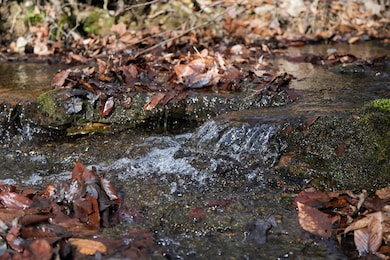 10001 Davis Branch Rd, Bon Aqua, TN 37025 - photo 2