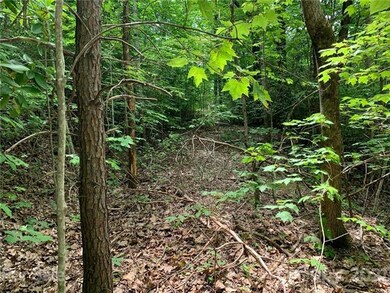 Old roadbed could possibly be reclaimed and used f
