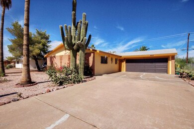 Cactus-04