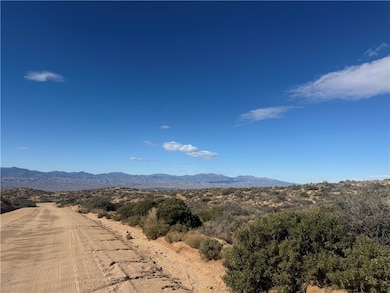 000 E Bogles Ranch Rd, Kingman, AZ 86401 - photo 2