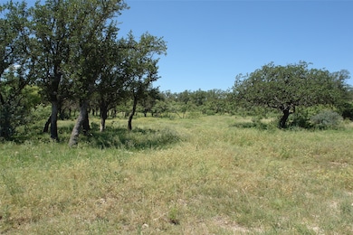 View of local wilderness