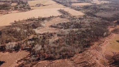 7235 120th St SW, Motley, MN 56466 - photo 5