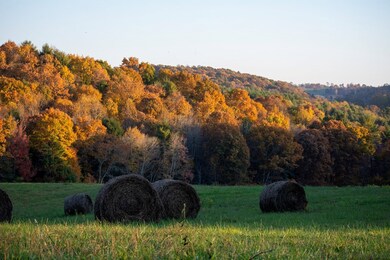 TBD Shady Grove Rd, Indian Valley, VA 24105 - photo 6