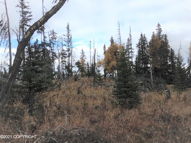 Tr 29 Tomski, Anchor Point, AK 99556 - photo 7