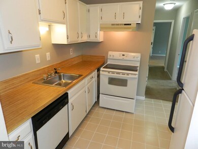 6210 Edsall Rd unit 404, Alexandria, VA 22312 - photo 6