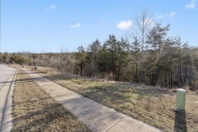 142/143 Country Ridge Way, Branson, MO 65616 - photo 4