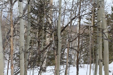 64 Rhea Rd, Como, CO 80432 - photo 4