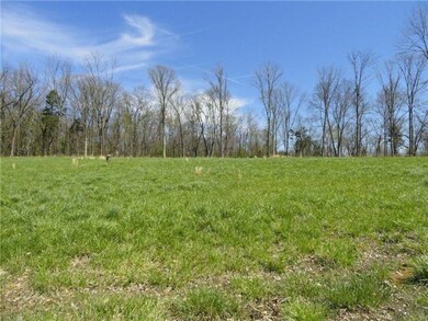 0 Horse Mountain Rd unit RTC1267446, Shelbyville, TN 37160 - photo 2