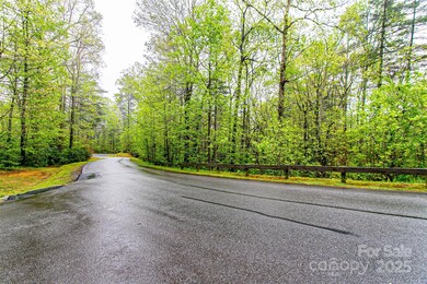 TBD High Hemlock Trail unit 46, Brevard, NC 28712 - photo 3