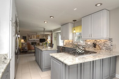 Beautiful Glass BackSplash
