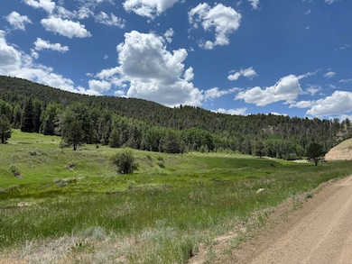 7700 Junkins Park, Westcliffe, CO 81252 - photo 6