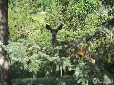 PICTURE TAKEN ON PROPERTY