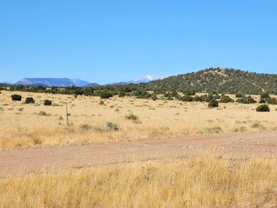 0 La Deora Blvd unit 25762736, Walsenburg, CO 81089 - photo 4