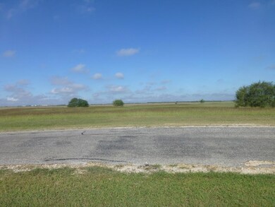 4270 River Ranch Cir, Robstown, TX 78380 - photo 7