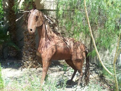MEET OUR HORSE COPPER